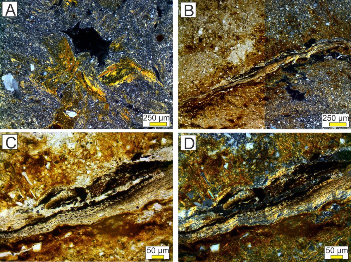 Geoderma_Jrnl's tweet image. New in Geoderma: "Alluvial landform and the occurrence of paleosols in a humid-subtropical climate have an effect on long-term soil organic carbon storage" by Benedict Ferguson, William Lukens, Bassil El Masri, and Gary Stinchcomb. buff.ly/2Y4FX9v @MurrayStateGSC