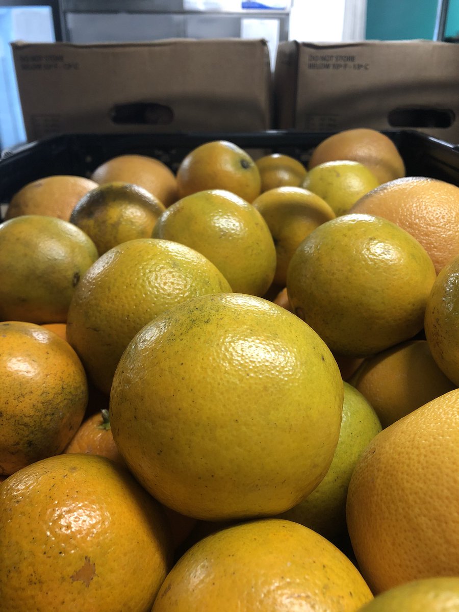 Our team is about to head out to our markets at Grace Community Church (Marion) ad Grace Episcopal (AVL) our produce markets. Here is a link to all of our 32 monthly #WNC markets: tinyurl.com/ya6s4svl #CommunityHealth #YForAll #TheYFeedsKids