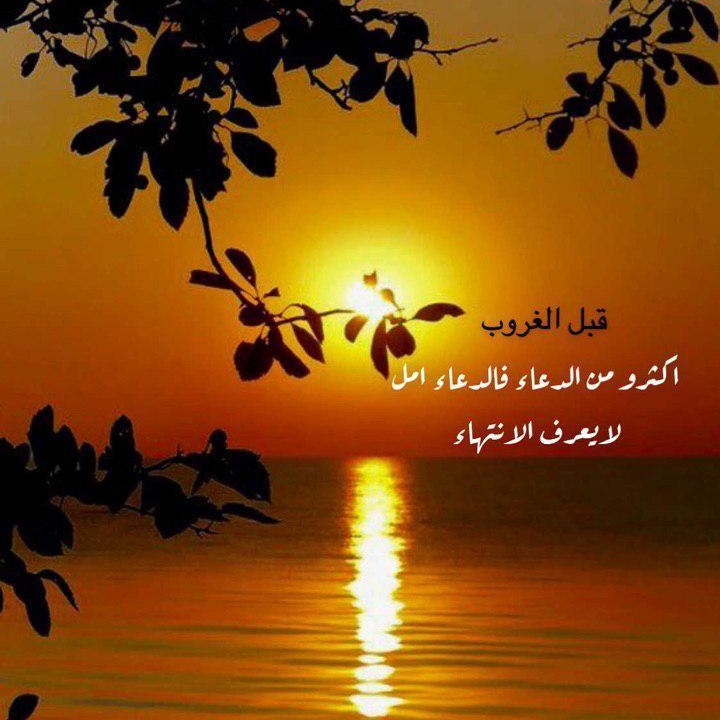 soooooe1401's tweet photo. #صورة_ملف_شخصي_جديدة https://t.co/K5V2QHii0v