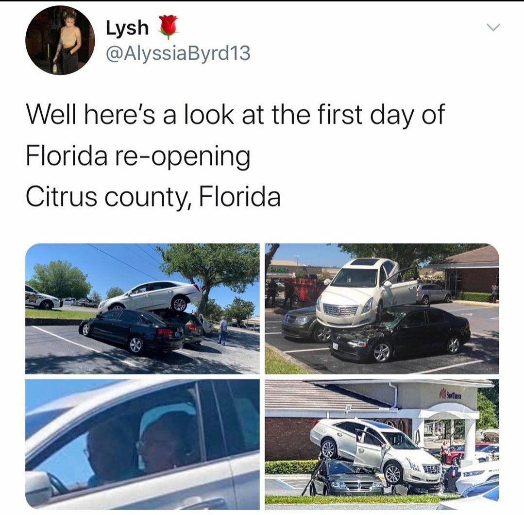 mattpalmtree17's tweet photo. I love florida. Honestly my kind of people https://t.co/7HbQJVphlx