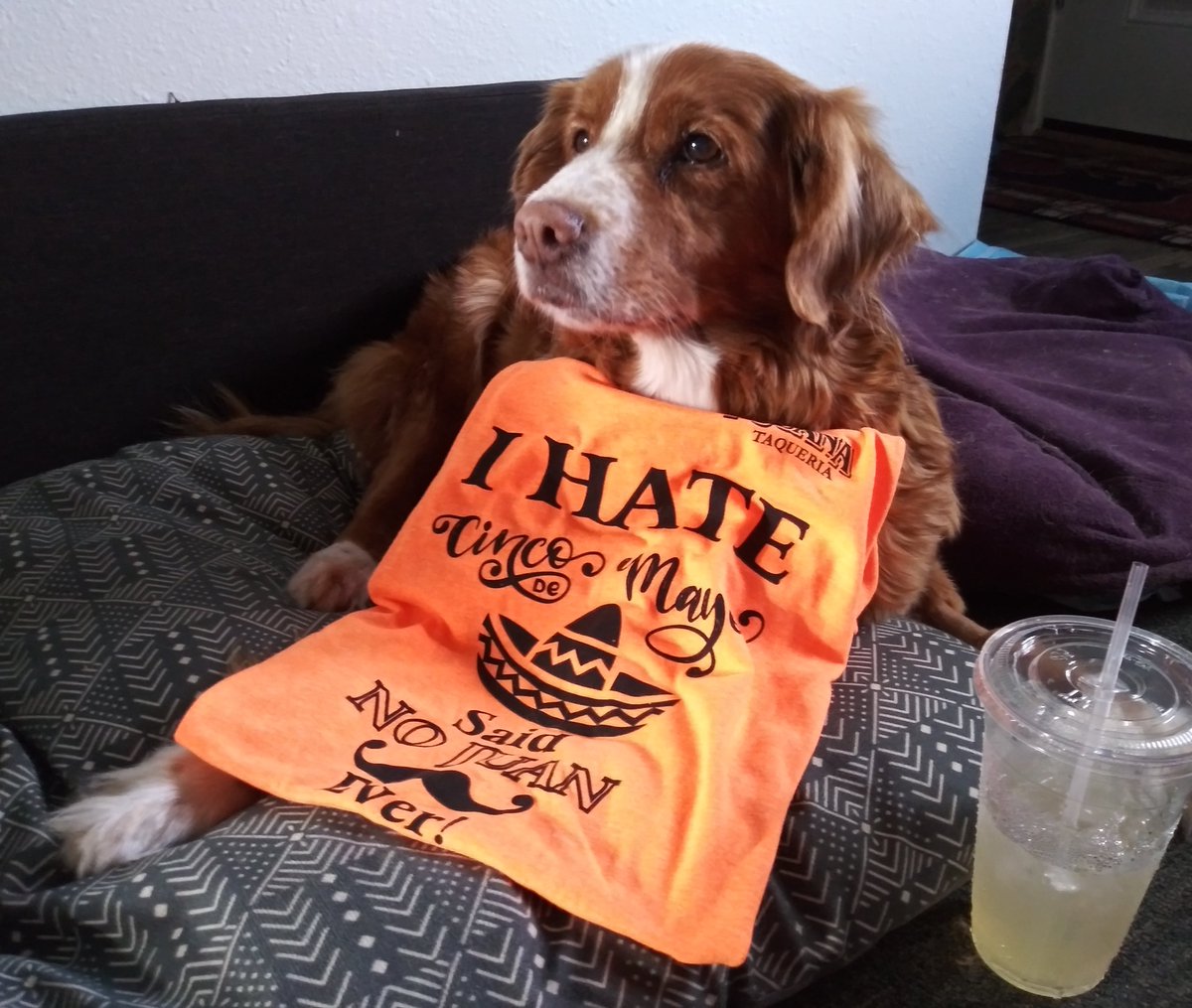 SkiMiniMountain's tweet photo. @JoseCuervo @CuervoContest We supported not uno, but dos local, independent Mexican restaurants for #CincoToGo #CuervoContest! #CincoDeMayo https://t.co/y9pSPTaCCX