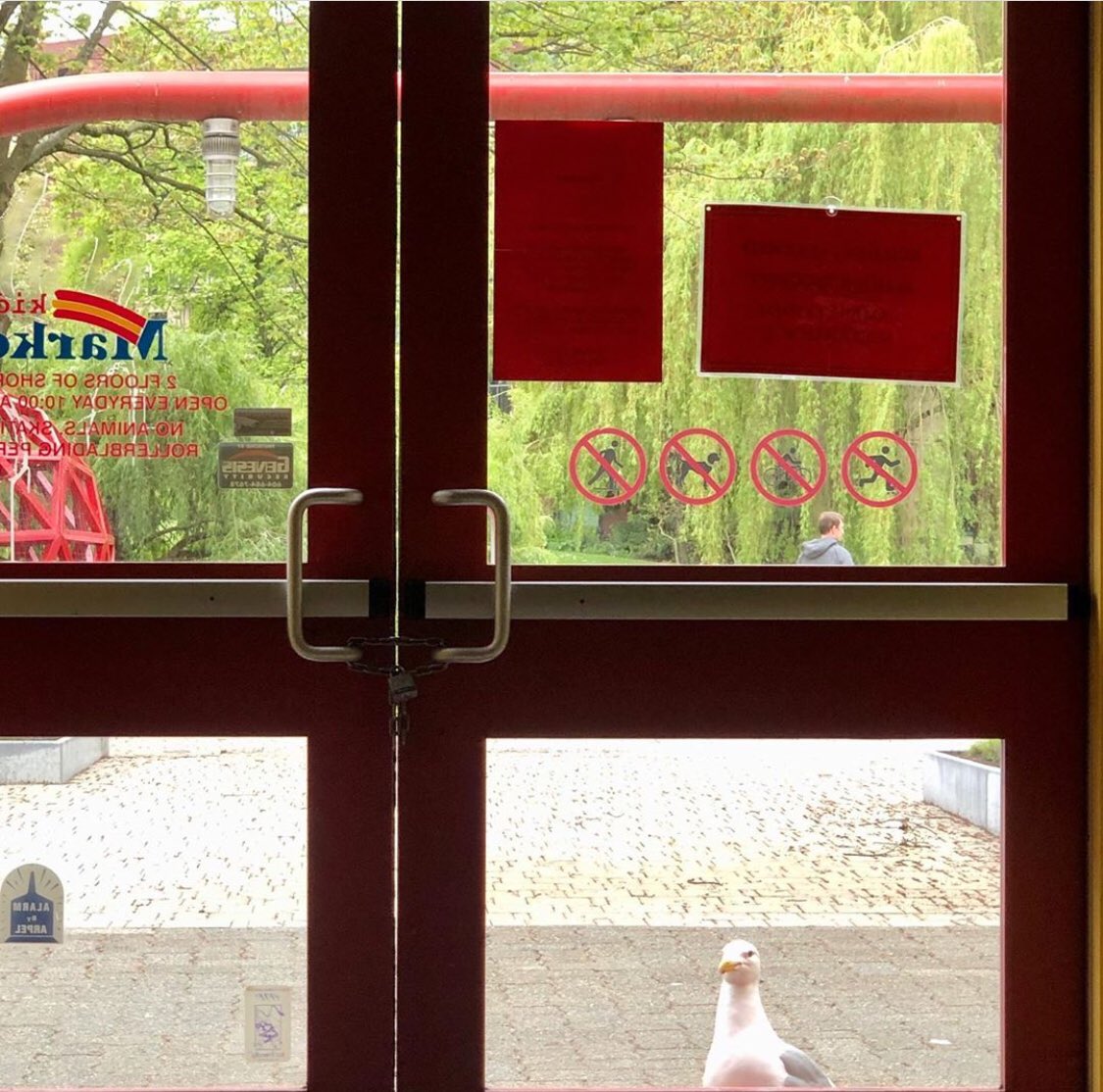 Kids Market tweet media