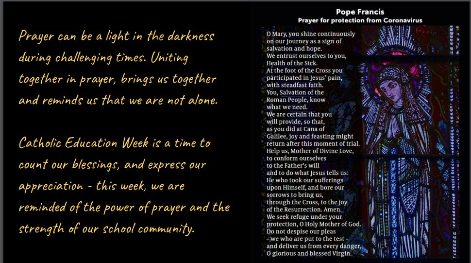 Ms. Maier tweet media