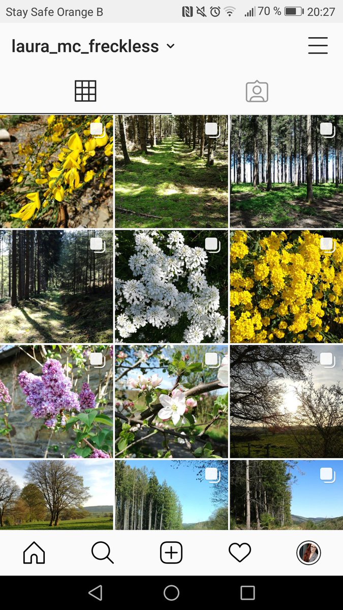 Work_Earn_Shop's tweet photo. Je poste plus jamais de photos etc ici parce que j y suis quasi plus... mais si vous voulez de la nature, campagne, belles photos etc : Mon Instagram est dans ma bio Twitter 🐿🍄🌲🌳🌻🌸🍀🍂🌾🌿 https://t.co/JGTMHHw1UI