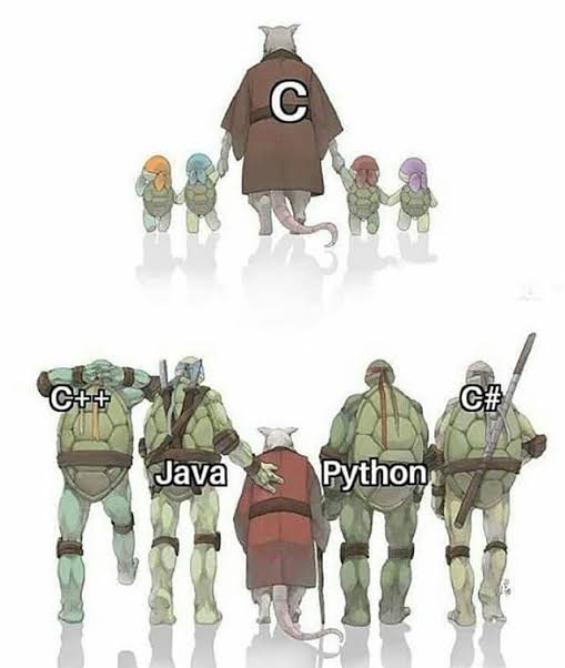 Naypers's tweet photo. Cada uno de ellos creció muy a su estilo, conozcanlos, usenlos y déjense encantar por las bondades que ofrecen. #python https://t.co/9Vsv4kMi0I