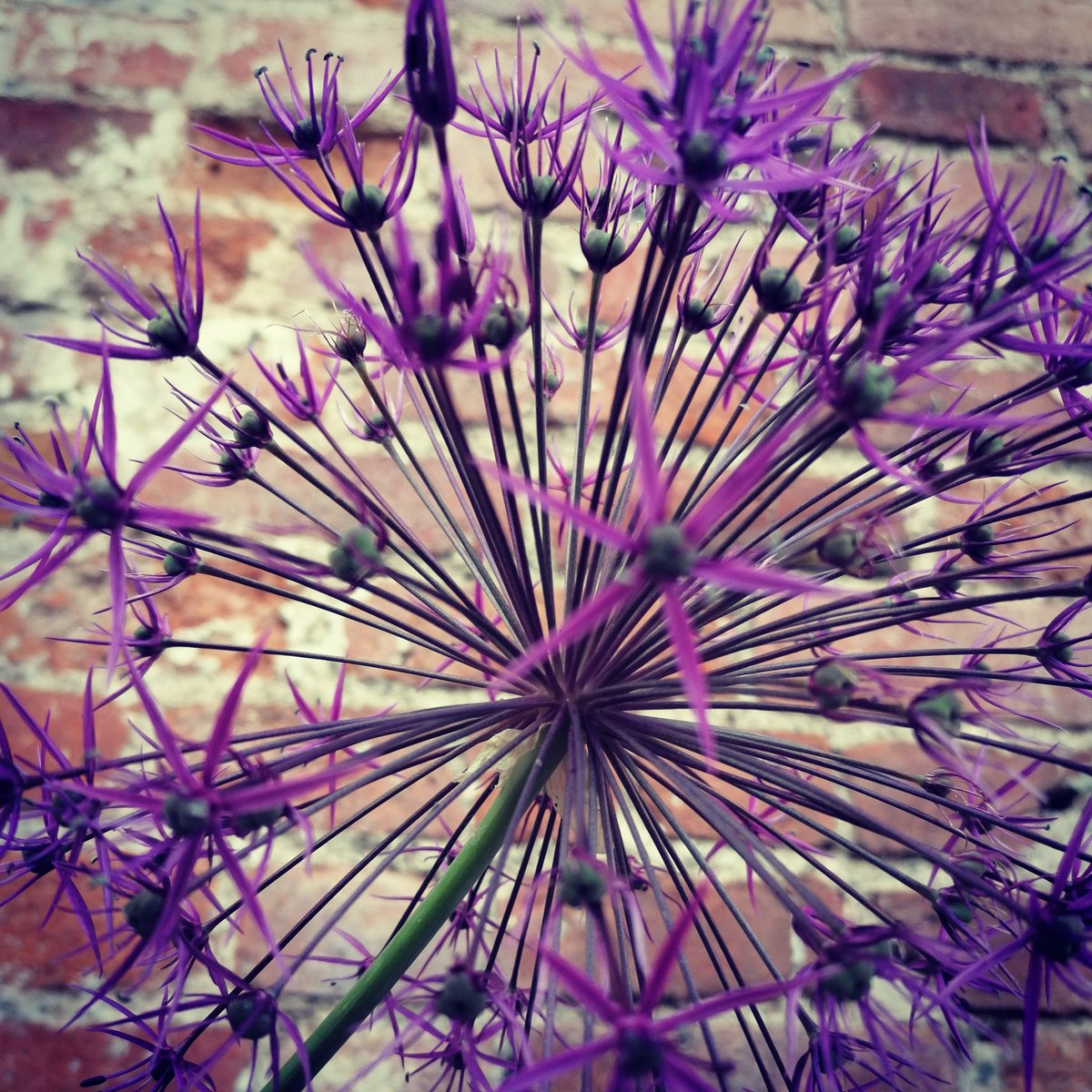 techydave's tweet image. 