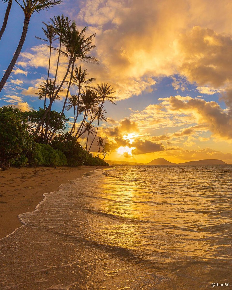 LuoghiDalMondo's tweet photo. Honolulu, #Hawaii 🌅 🏝️

📸 tburt50 https://t.co/sSI0yjL8lb