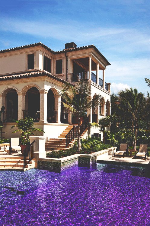 iracifalavina's tweet photo. Ainda não vi piscinas com azulejo roxo na timeline então passando aqui pra exaltar https://t.co/b21FwLqqr7