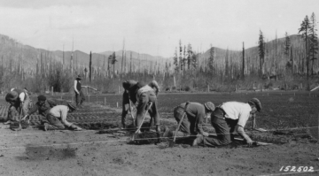 forestservice's tweet photo. Since 1902, we have produced billions of seedlings in its nurseries to restore our nation’s forests after harvesting, wildfire, and other disturbances. https://t.co/ETgrgJirXt #ForestStories https://t.co/r93dhZFycm