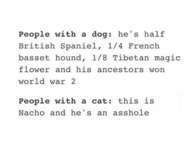 One person here is annoying and the other one is straight-up. Which one do you want as a friend? https://t<a href="/tag/cats"class="tags"><span>#cats</span></a>