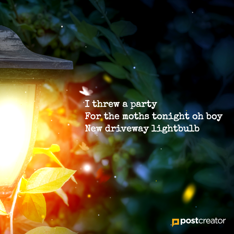 postcreator's tweet image. During the pandemic, you just might find yourself taking care of things you've neglected in better days. Then writing haiku about it.