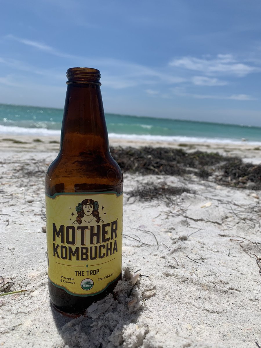 <a href="/motherkombucha/">mother kombucha</a> 😎