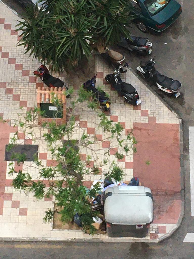 rosedenogt's tweet photo. @LimasaOficial en C/Juan Sebastián Bach, los usuarios dejan la basura fuera, el resto de contenedores de la calle vacíos y ese completo. Han pasado sus compañeros desinfectado y a ese no han podido acceder. Por favor recojanlo @malaga @BarriosMalaga https://t.co/v0PUZH0H8H