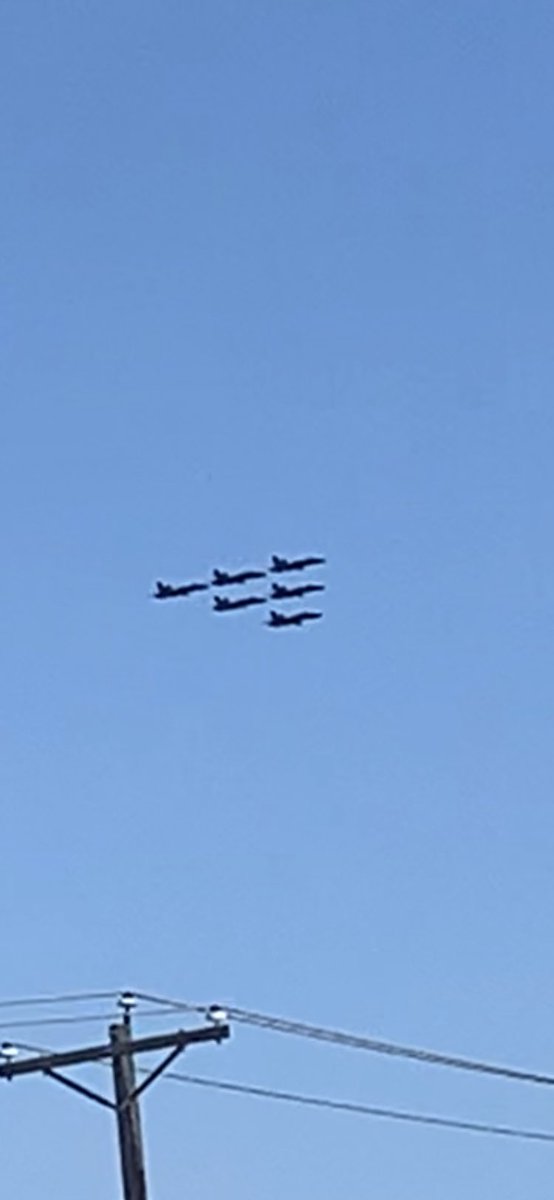 Right over my café today!
