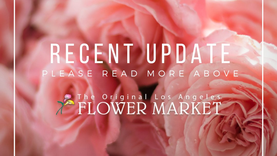 LAFlowerMarket's tweet photo. Update on re-opening plans now available on our website. Pls be advised, there will be extensive, strict limitations we must abide by as per the Los Angeles city mandate. https://t.co/V7I2Pdthtq ⁣#LAFlowerMarket  #FlowerMarket #LA #LosAngeles https://t.co/GEuTsyJB0K
