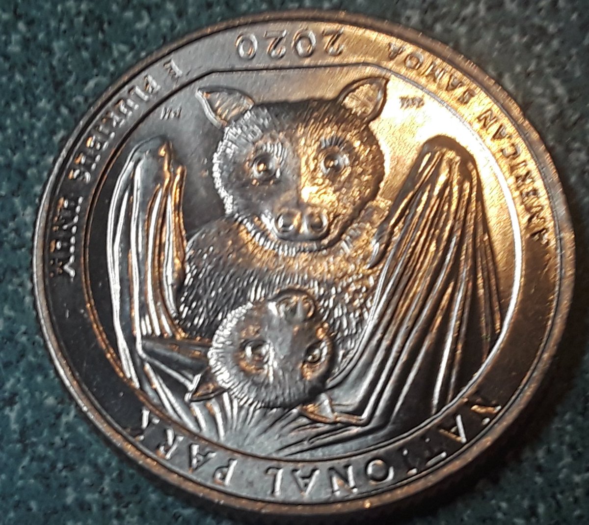 Coins for Amateurs tweet media