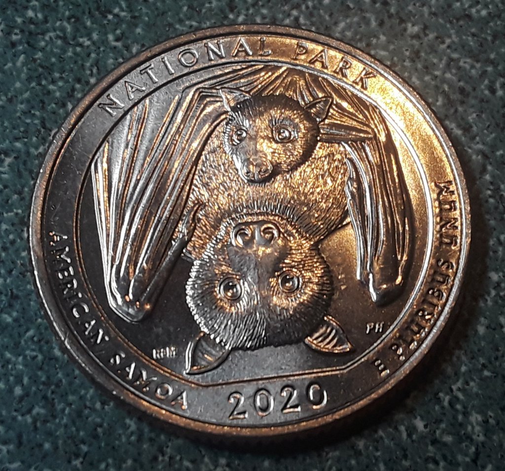 Coins for Amateurs tweet media