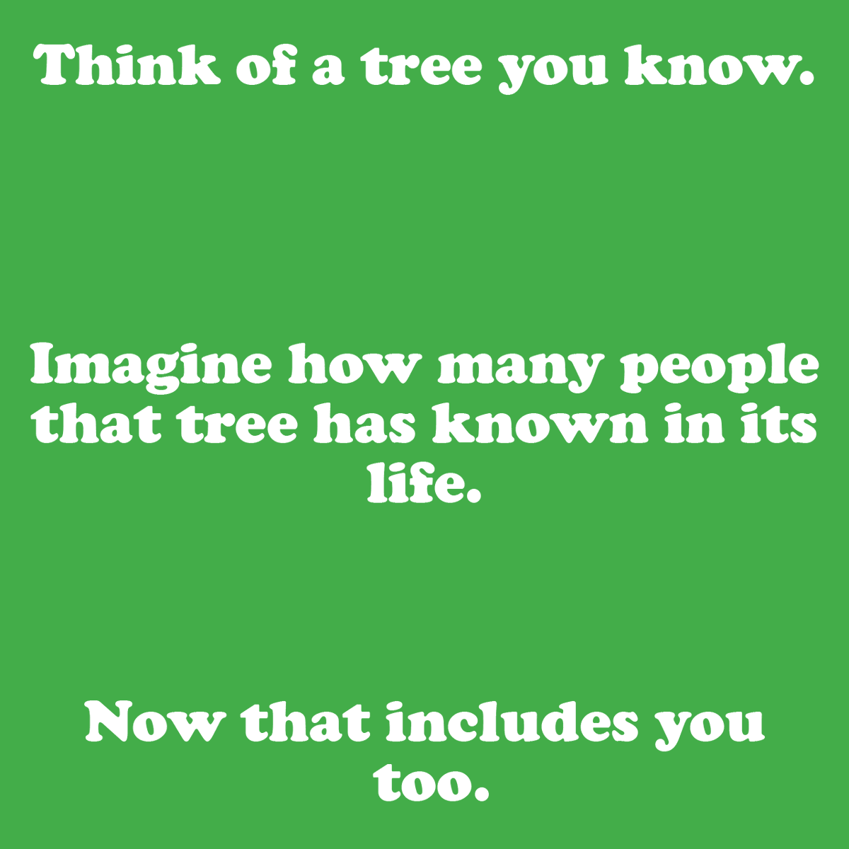 TreePeople_org's tweet photo. Remember there's no such thing as tree distancing #treepeople #findyourtree #trees https://t.co/hHGJFsu0zp