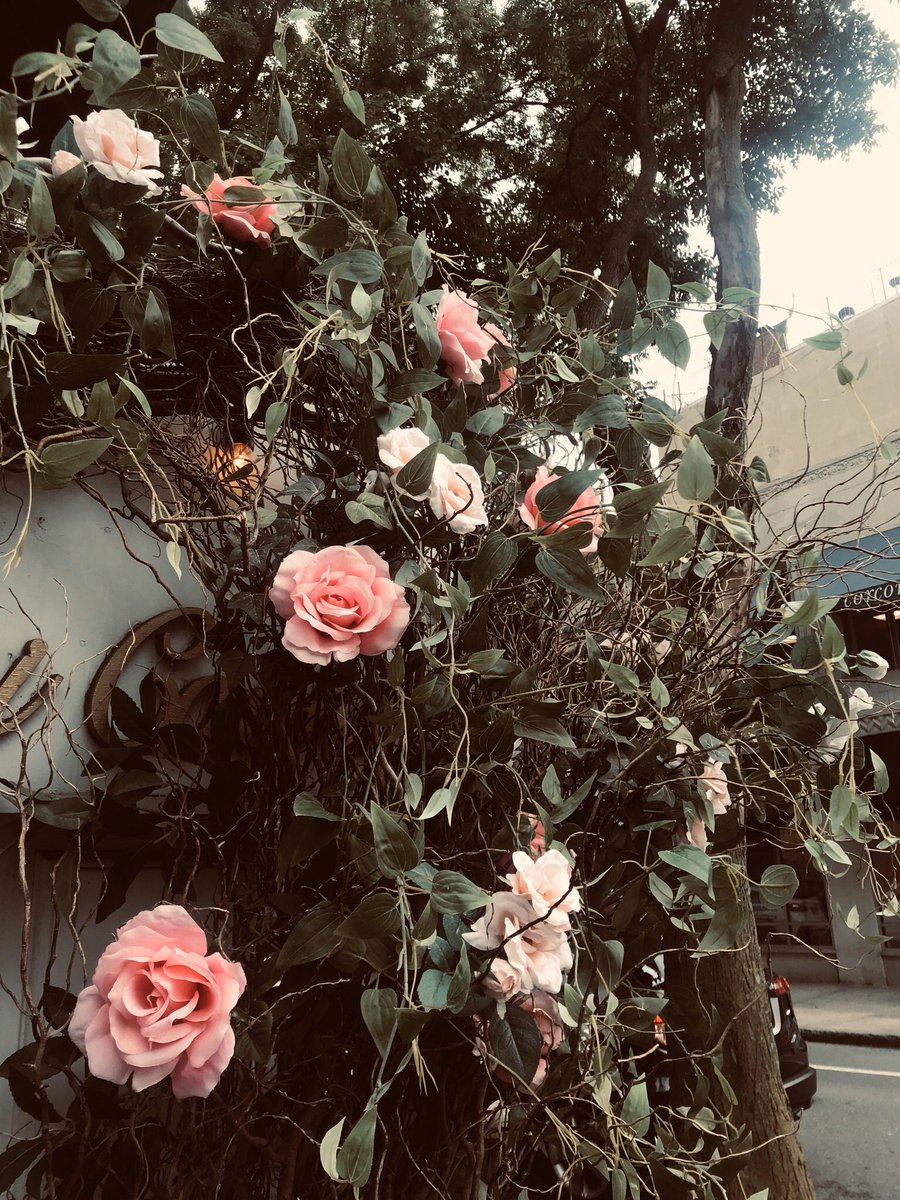 amyvachal's tweet photo. new track tomorrow https://t.co/bLro4DhzEh