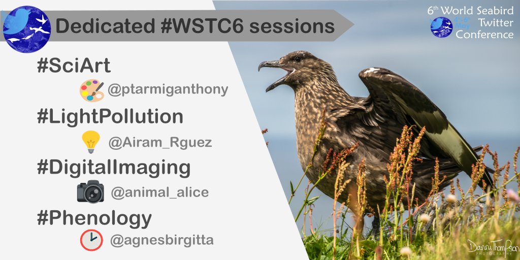 Seabirders's tweet photo. A special thank you to @animal_alice @agnesbirgitta @ptarmiganthony & @Airam_Rguez for proposing their theme-specific sessions for #WSTC6. What a great success those sessions turned out to be!
Check them out #DigSesh1 #DigSesh2 #DigSesh3 #PhenoSesh #LightSesh #ArtSesh1 #ArtSesh2 https://t.co/4fzgvnZr28