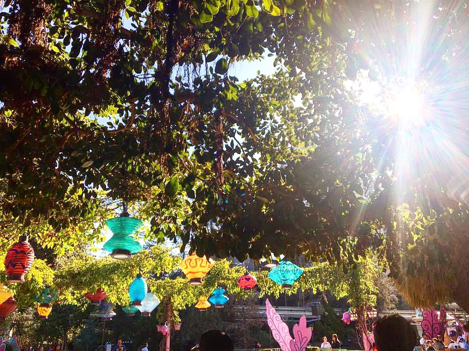 USAObsession's tweet photo. I miss Disneyland ☕️ 
#disneyland #disneyparks #visitcalifornia  #travelblogger #visitanaheim #happiestplaceonearth #visittheoc  #americathebeautiful #visittheusa #virtualtravel #imissdisney #disneydetails  
@Disneyland 
@Visit_Anaheim 
@VisittheOC 
@VisitCA 
@VisitTheUSA https://t.co/0EbNdQmZqE