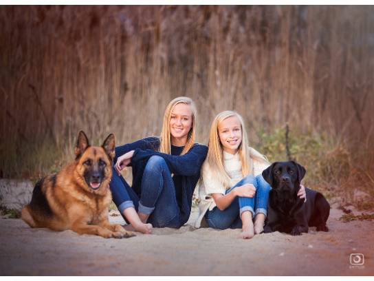 High Hopes TR tweet media