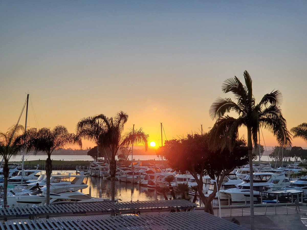 sowewander's tweet photo. S is for #SanDiego, one of our favorite cities to visit and for good reason: https://t.co/pBFa8VfwNi #AlphabetAdventures https://t.co/FhQTLKbYO0