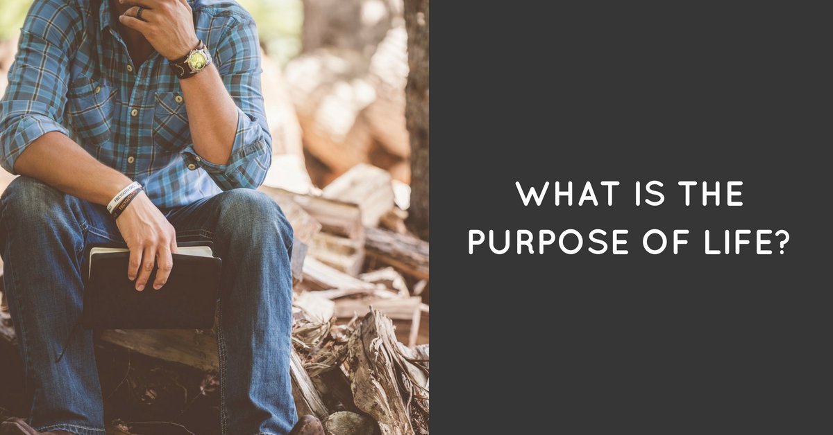 Call4IslamOnli1's tweet photo. #becomingnetflix
#Way_to_Paradise
#Islam
#QURAN
#The_Truth
#Purpose_of_life
If U face problems knowing the Purpose of UR existence in this world.Then,U must find the correct answer through authentic sources Please contact
@eDialogueC
@t2dialogue
https://t.co/eZP0vDsY90 https://t.co/KjJbjBZi8r