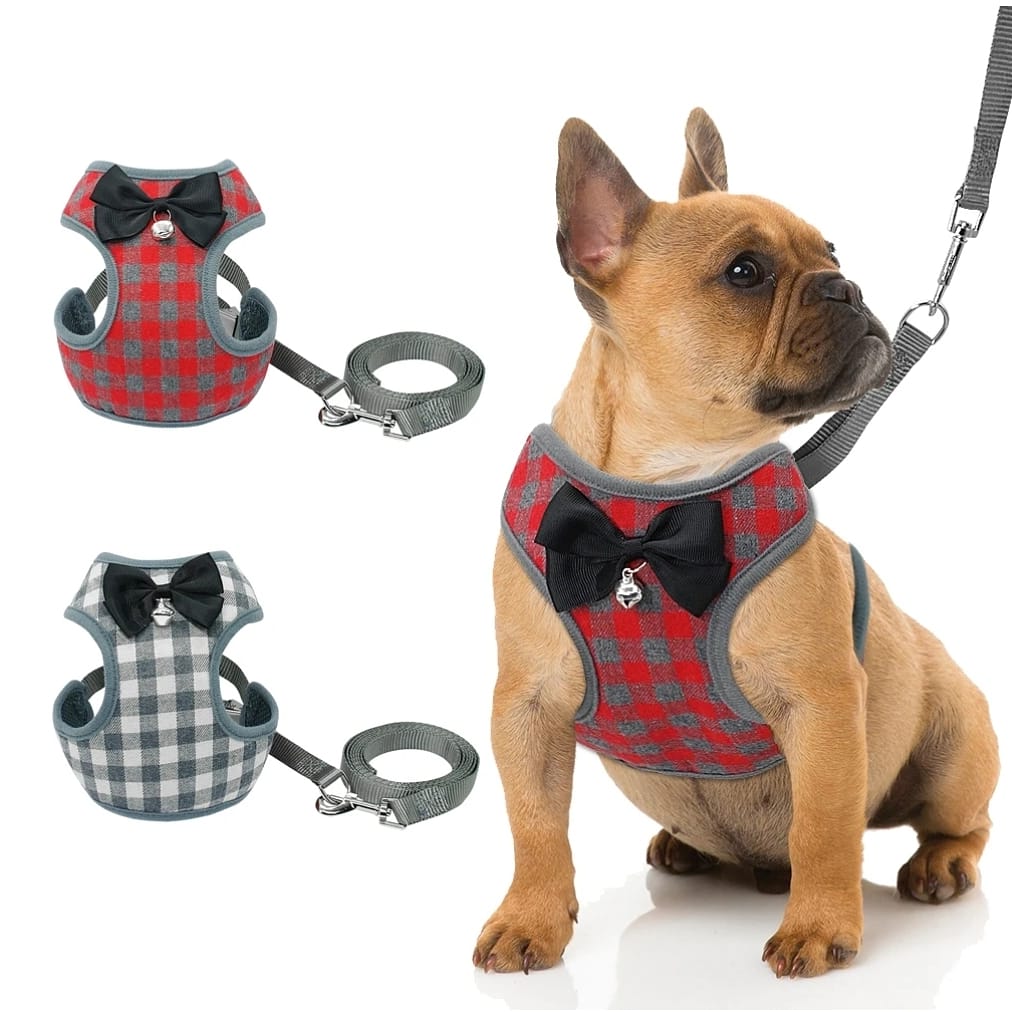 DoggyPath's tweet photo. Pet Harness and Leash Set
Shop now ↪ https://t.co/KKaJvpJbaR
✳ Free Shipping 
#dogsonnetflix #doggy #DogLover #CatsOnTwitter #petsluver #petsupplies https://t.co/BSyZVVfRg4