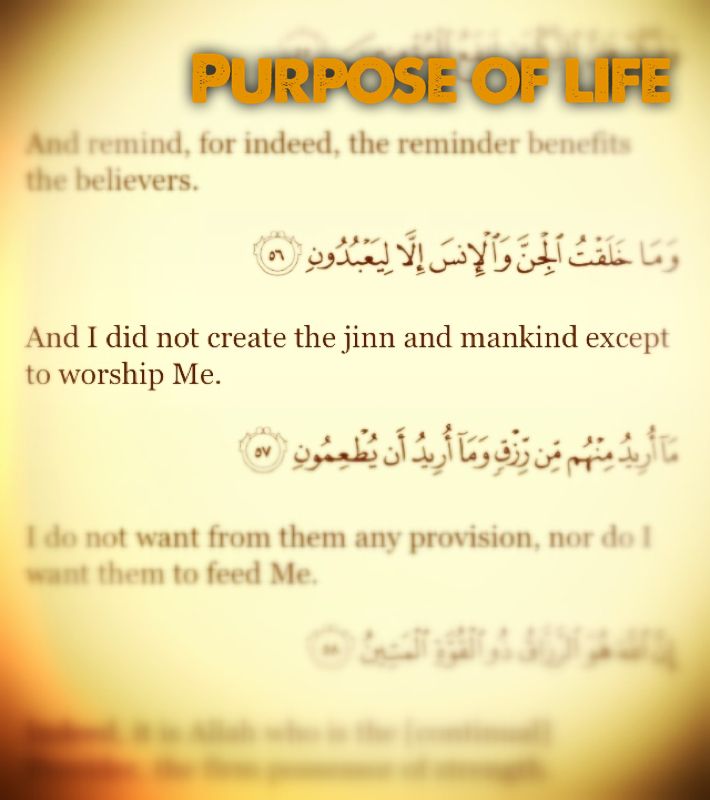 Call4IslamOnli1's tweet photo. #becomingnetflix
#Way_to_Paradise
#Islam
#QURAN
#The_Truth
#Purpose_of_life
If U face problems knowing the Purpose of UR existence in this world.Then,U must find the correct answer through authentic sources Please contact
@eDialogueC
@t2dialogue
https://t.co/eZP0vDsY90 https://t.co/KjJbjBZi8r