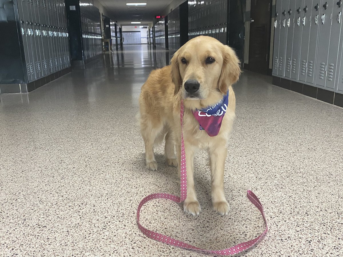 HopewellPride tweet media