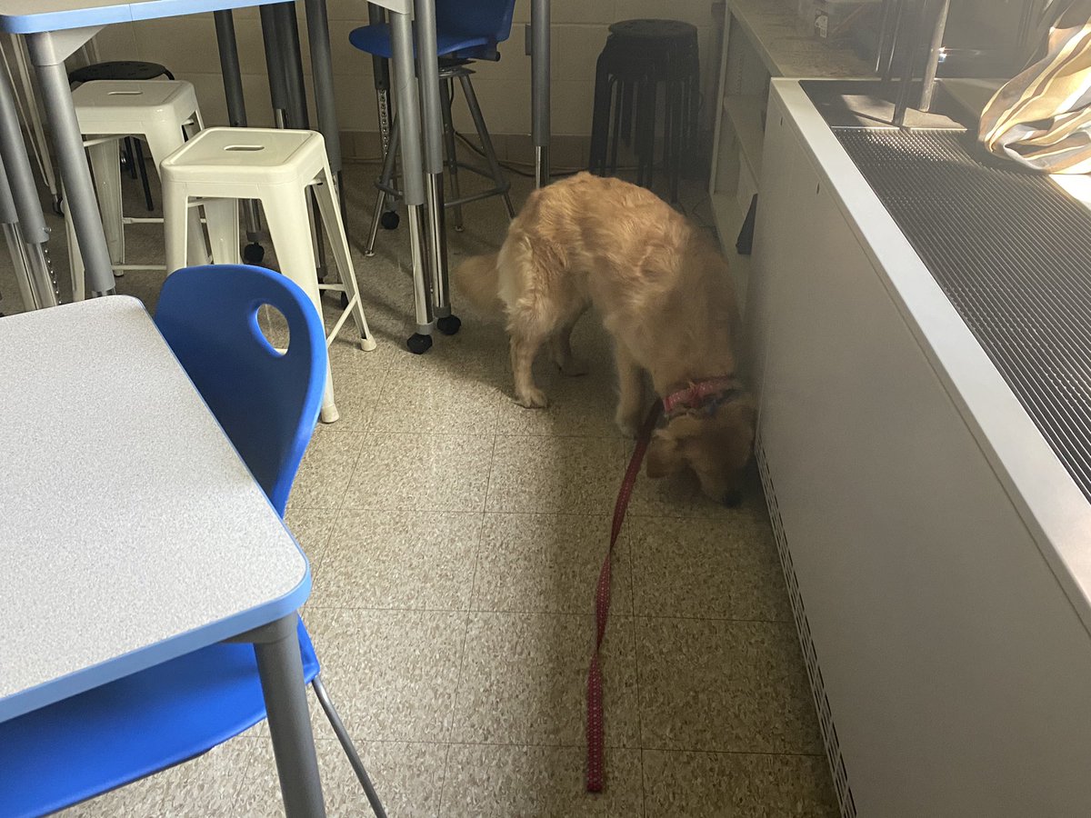 HopewellPride tweet media