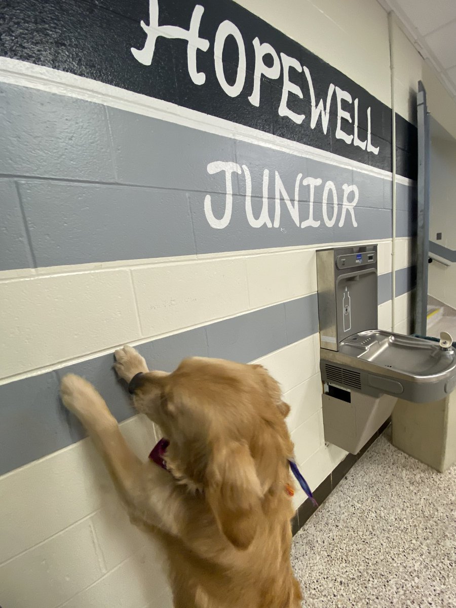 HopewellPride tweet media