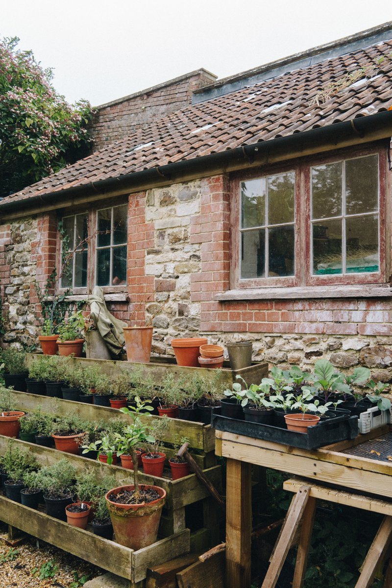 Mr & Mrs Smith tweet media