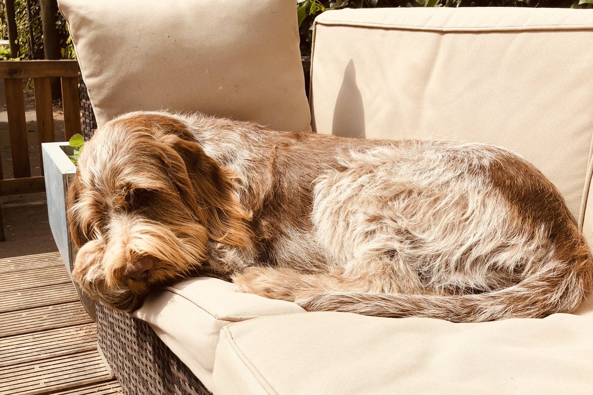 Marielle v.d. Keur tweet media