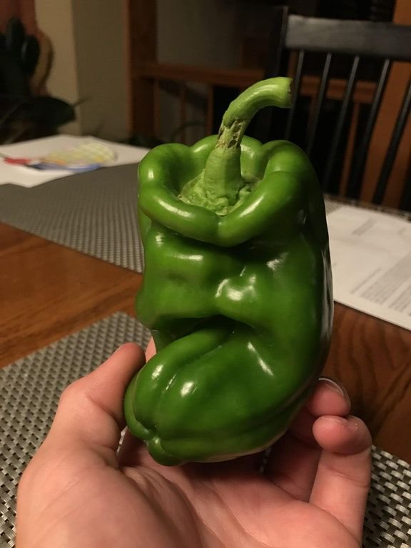 EiProfeta's tweet photo. Cuando vas a cortar un pimiento y de repente te grita "¡GRYFFINDOR!". https://t.co/c5B1ThOmUU