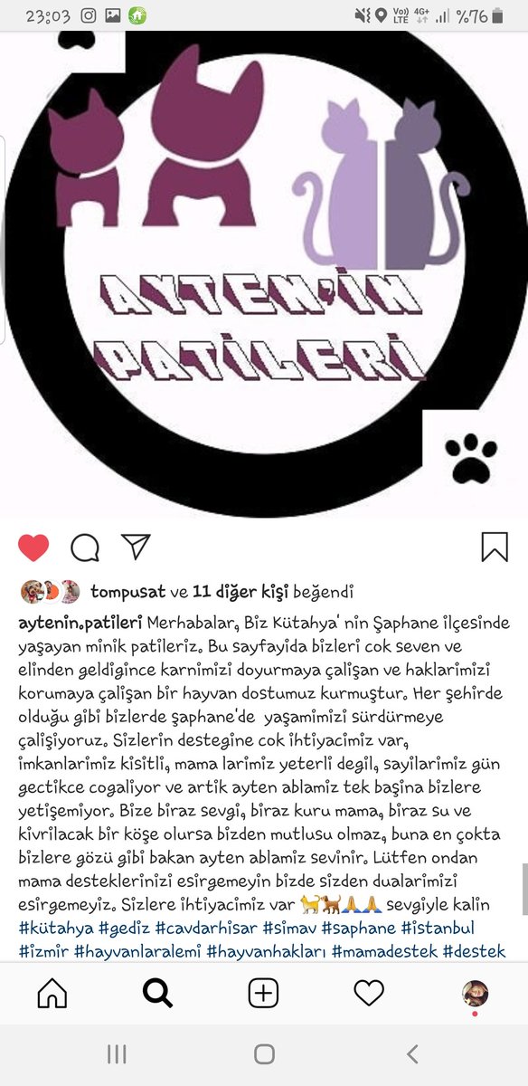 MinePusatt's tweet photo. https://t.co/3SLM5GS3vY takip eder destek verirseniz cok seviniriz sizlere ve desteginize cok ihtiyacimiz var🙏 #kütahya #saphane @sinemums @omurgedik @DemetAkalin @ezgimola @danlabilic @hacikodernek @haluklevent @evsiz_hayvanlar   #paraaranıyor https://t.co/BOX7XWgOiH