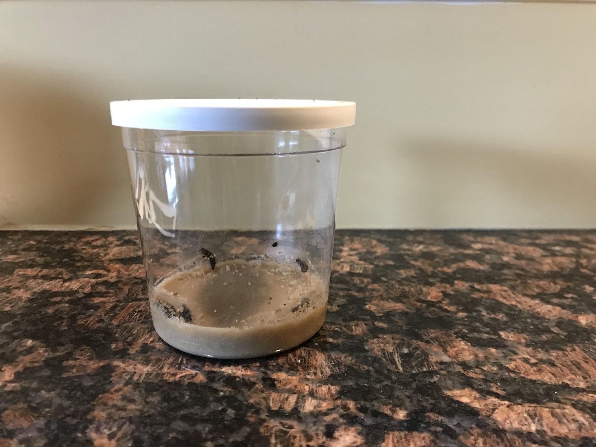 @Mrs_Brunner tweet media