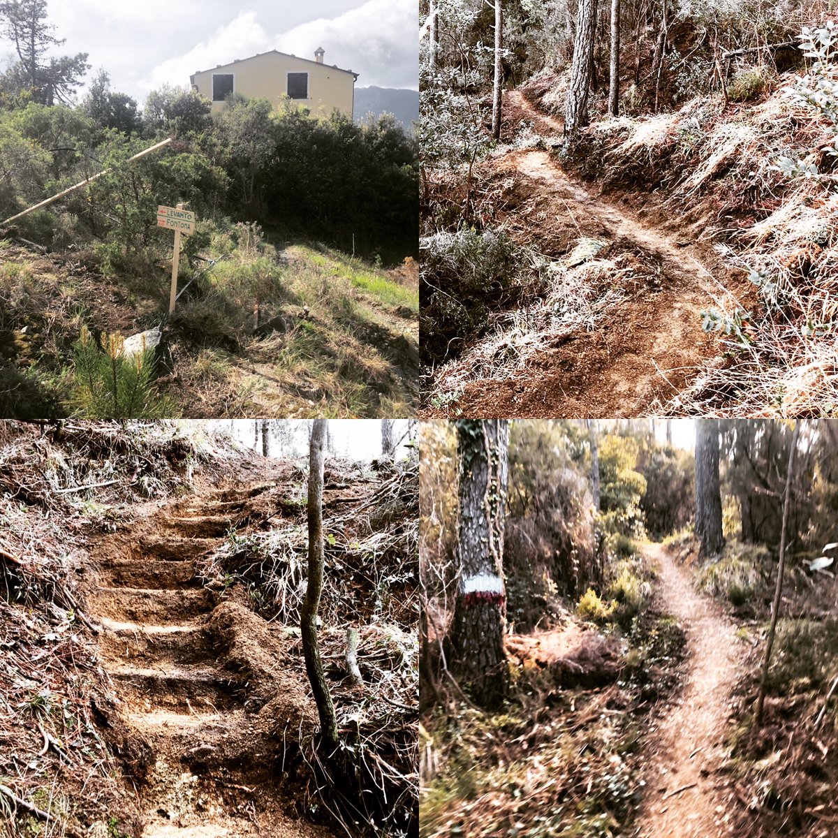 abbiamo preparato un nuovo percorso per il vostro trekking torneremo alla normalità ma nel frattempo avremo migliorato qualcosa per voi per noi per tutti #visitlevanto #footpath #noicelafaremo