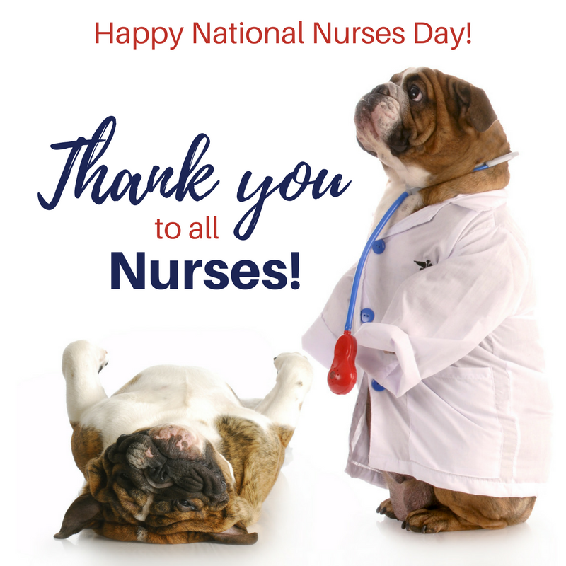NepalDogChews's tweet photo. Nurses are the heart of healthcare
#nepaldogchews #ndchews #nursesday #nurses #dog #puppy #pet #ilovemydog #instagramdogs #dogoftheday #healthcare #dogfood #dogchews #adorable #doglover #bulldog #dog #frenchie #frenchbulldog #englishbulldog #puppy #bulldogs #bulldoglife https://t.co/dgGSRyaYXQ