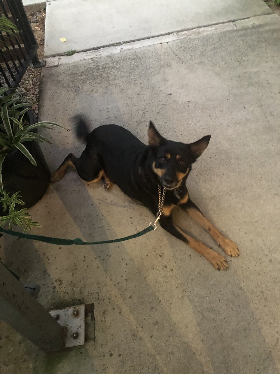 Morning walks. Supporting the local coffee shop.