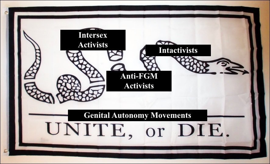 ThatIntactivist's tweet photo. Tip to all fgm activists: we as the intactivists are not trying to minimize fgm by saying that mgm needs to be illegal along with it. It’s the pro mgm people that are trying to minimize fgm to keep mgm legal. We are on your side. We must unite or we all fail. https://t.co/RU78SpIIV4