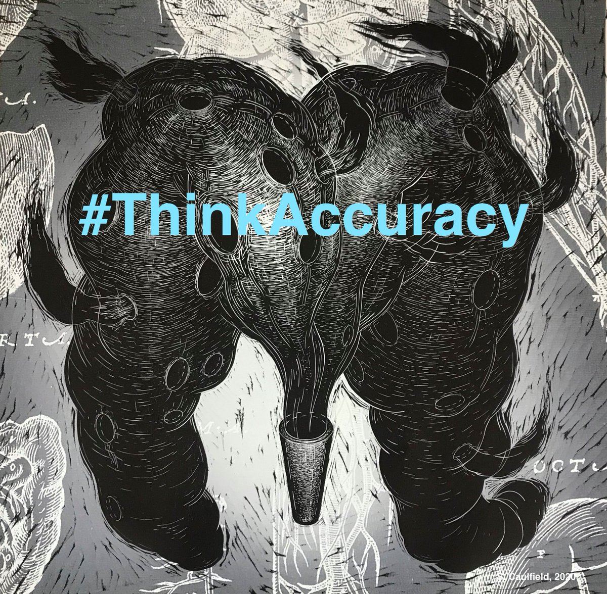 CaulfieldTim's tweet photo. Battling the #COVID19 #infodemic with art!
Another amazing piece by my brother, Sean. cc @UofAFineArt #scipop #scicomm #YEGart
#ThinkAccuracy! https://t.co/i8UKGMTC9k