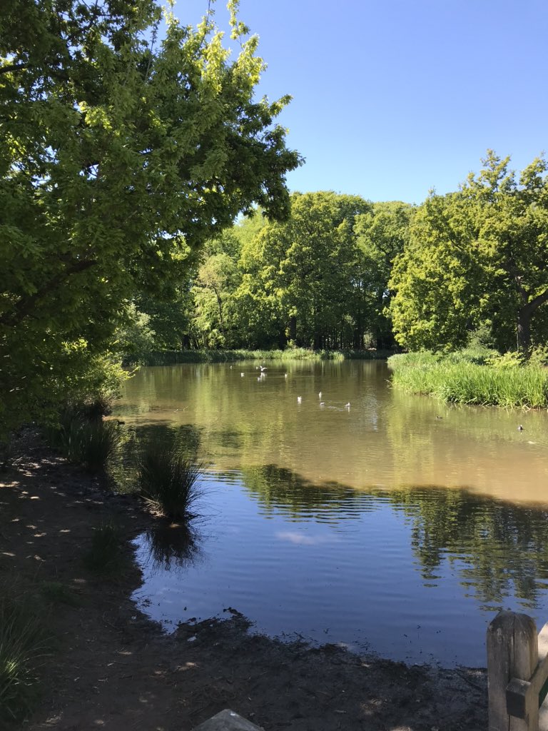 CelineHWyatt's tweet photo. Dropped into lovely Worden park for our walk on the way back from the dentist..

So many happy memories of working @southribblebc with @jhunter1973 @DarrenCrossley @DarrenCranshaw ☀️ https://t.co/ic4HLFftRX