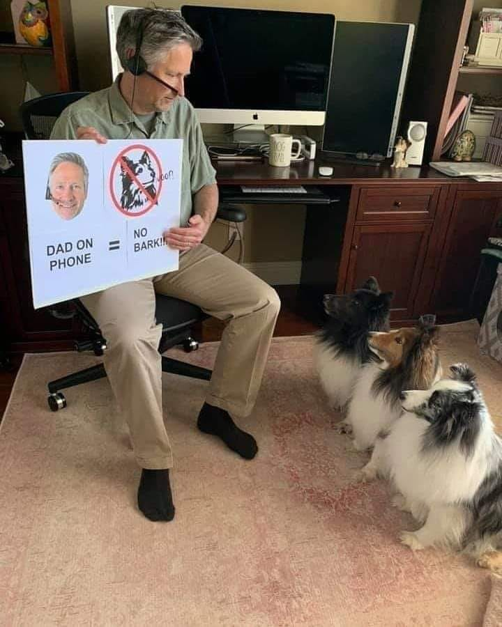 JimHarris's tweet photo. #funny 
#lol 
#COVID 
#pets https://t.co/KaWuC9A8vS
