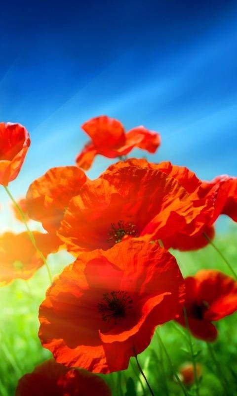 julia_stihi's tweet photo. https://t.co/mCWh2iOln6 https://t.co/pi9fsDjnS3