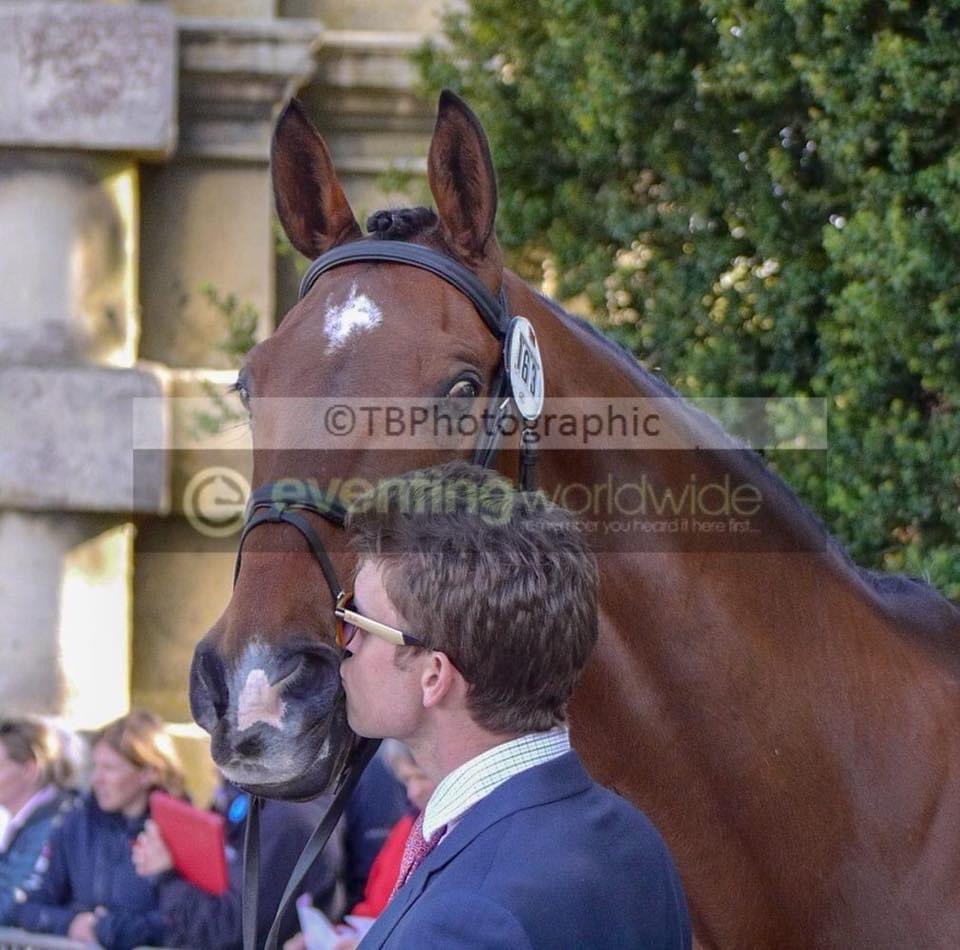 Quite possibly, our all time favourite Behind the Scenes photo from the first horse inspection at <a href="/bhorsetrials/">Badminton Horse Trials</a> <a href="/TCEventing/">Tom Crisp</a> 🥰