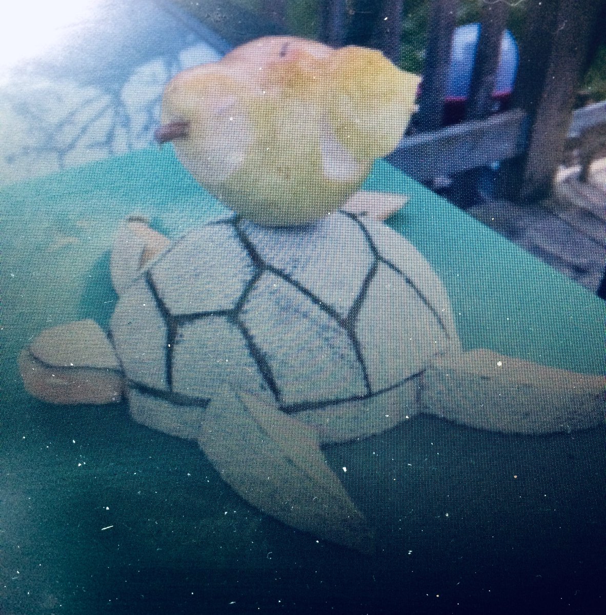 janice kovar tweet media