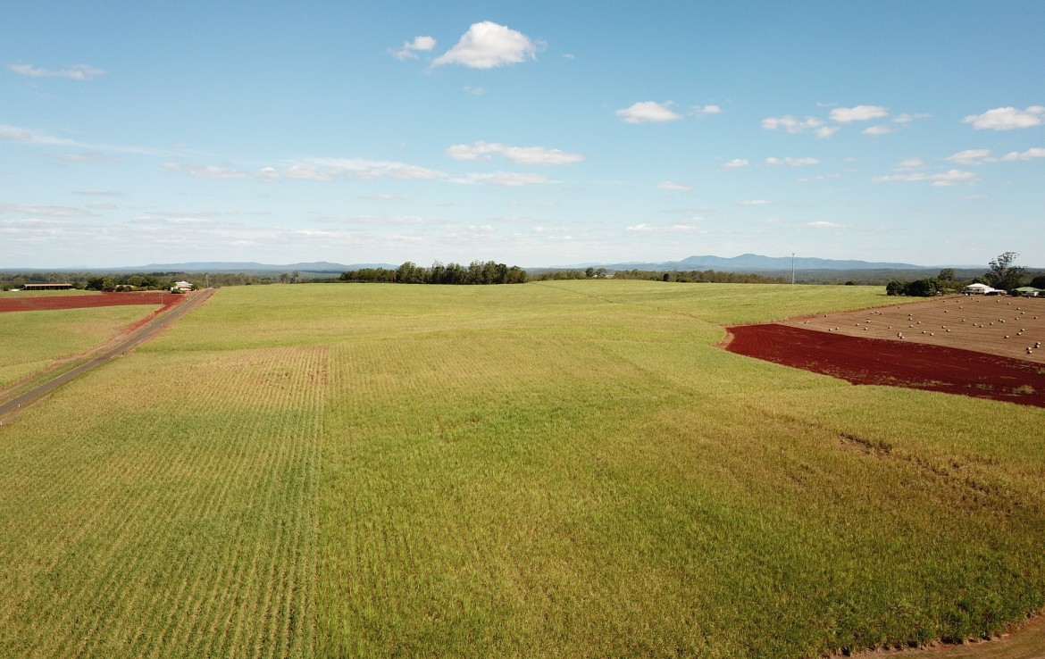 Farmbuy Com South Isis Qld 198 Acres Red Soil Farm Currently Operating As A Dry Farm In Sugar Cane Varieties This Farm Offers Diversified Opportunities Into Pineapples Small Crops Or
