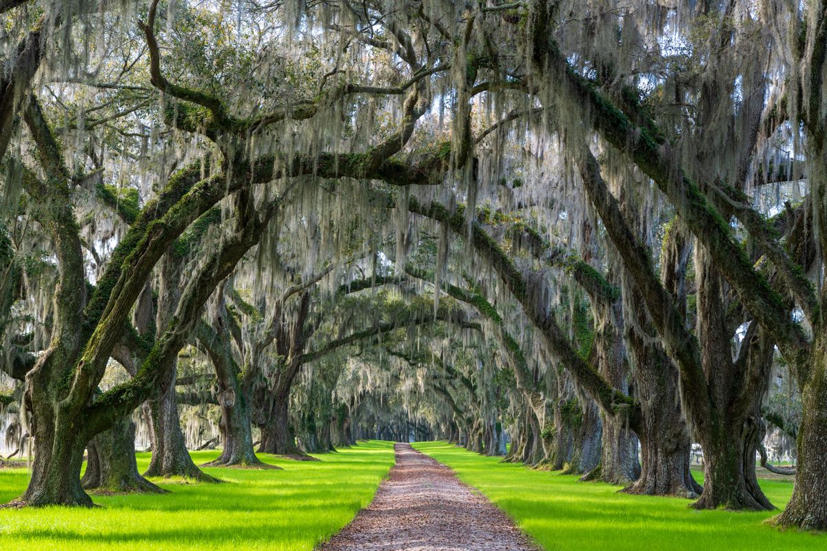 Rick Holliday tweet media